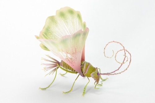 archiemcphee:We love these exquisitely detailed fantasy insects created by Japanese artist Hiroshi S