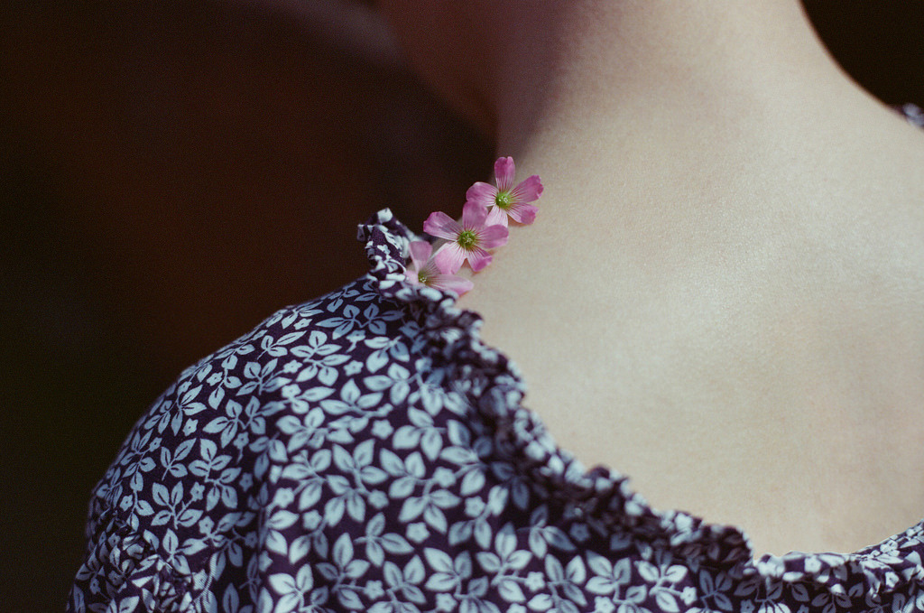 eikadan:  By rainbow019 on Flickr.