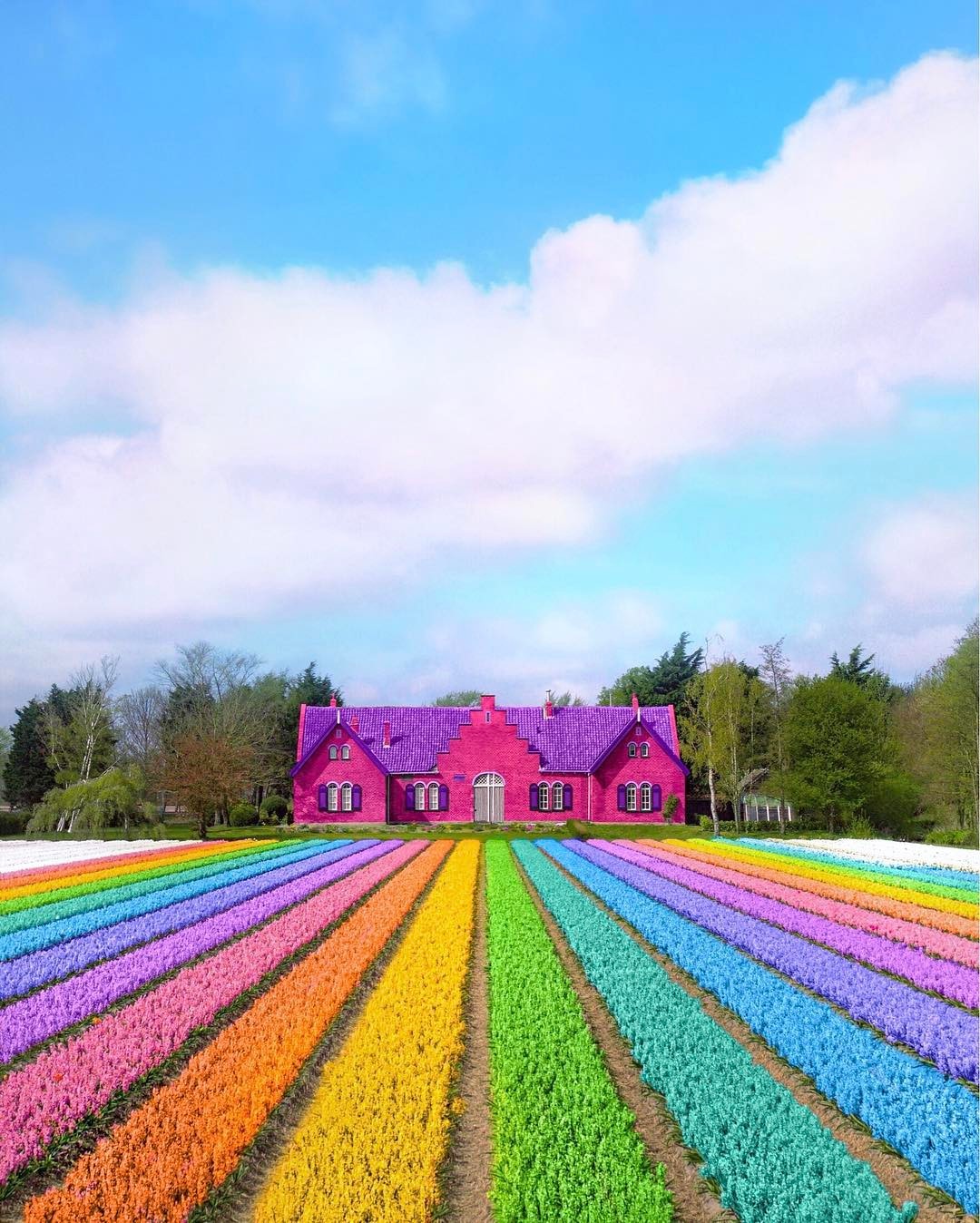 culturenlifestyle:  Designer Turns Ordinary Buildings into Flamboyant Piece of Art