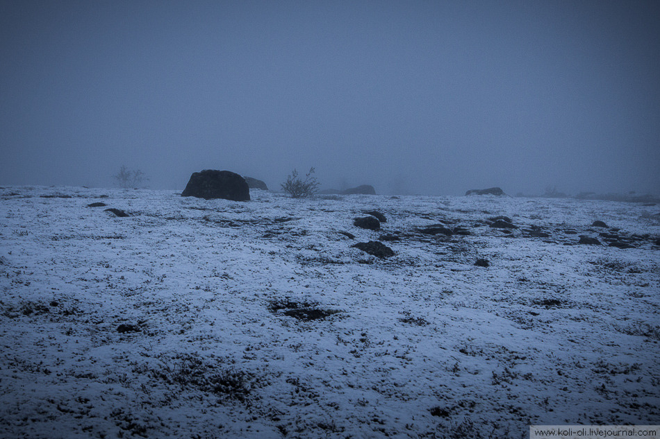 thebeautyofrussia: Little nature in the Khibiny Mountains, Kola Peninsula koli-oli
