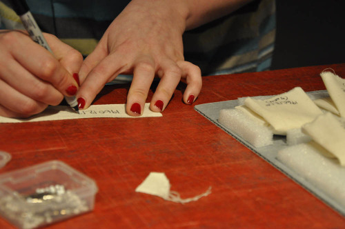 Registration Technician Chelsea Hick is preparing Ethafoam and blue board trays to store and transpo