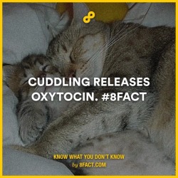 That&rsquo;s why everyone should be cuddling right now!