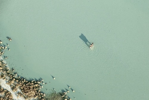 nevver:  From above, Zack Seckler
