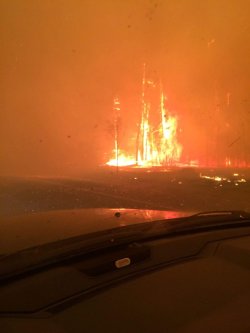 legalmalik:  Fort McMurray, Alberta, Canada is burning down as we speak. The entire town of over 70,000 people has been evacuated. This is the largest fire evacuation in Alberta history.  If you have any money to donate please do at Red Cross Canada.