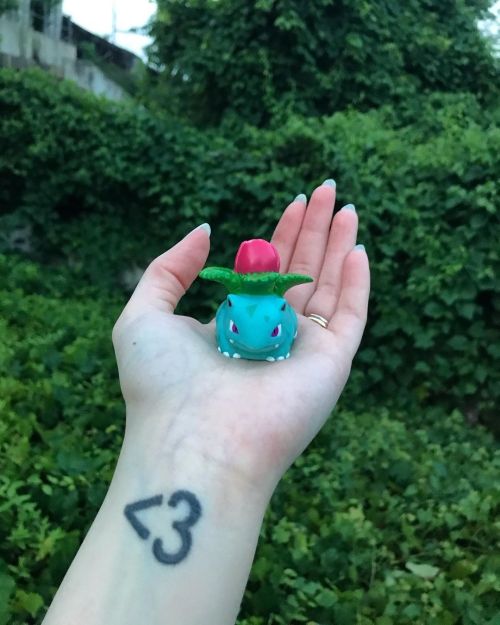 Translucent lol #pokemon #ivysaur #ポケモン #フシギソウ https://www.instagram.com/p/CCsGTDFnTlX/?igshid=1t96z