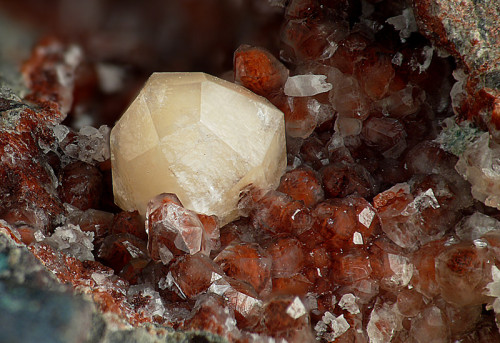 Porn themineralogist:  Analcime (by smulaxx) photos