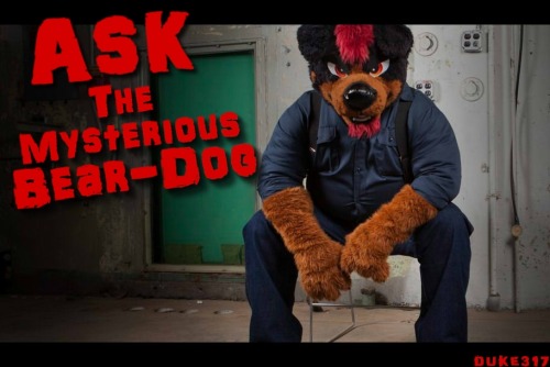 The Mysterious Bear-Dog is gonna be Answering YOUR Questions with his Photo Replies!!Send your Quest