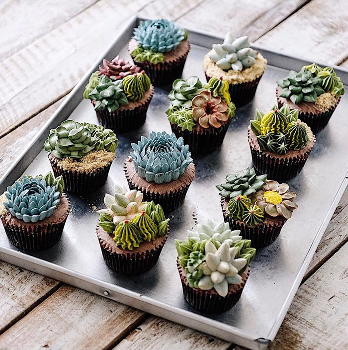 ladiosa-jade:  bibidebabideboo:  (Succulent Cakes By Ivenoven Will Make Every Succulent