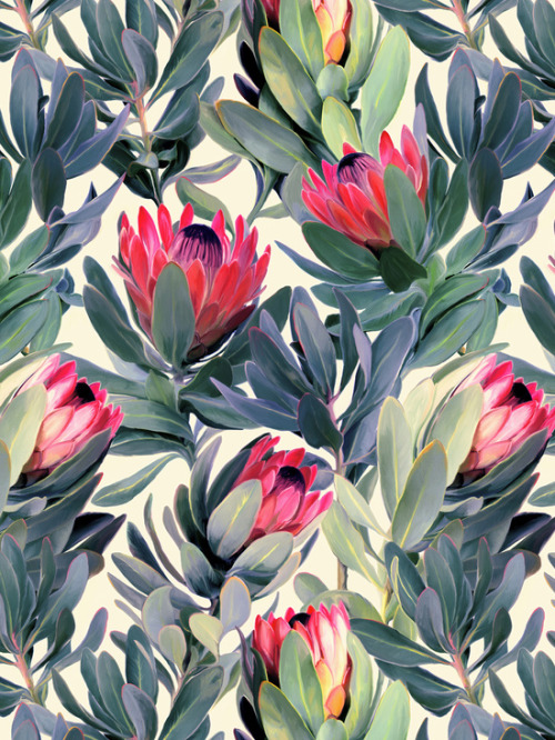 Painted Protea Pattern by Micklyn // more art here