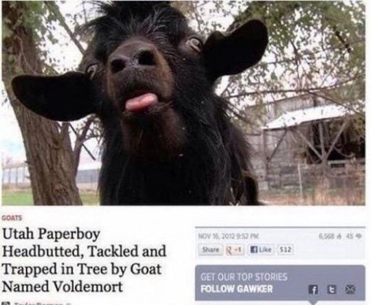 Quite Possibly The Best Headline Ever Written
http://srsfunny.tumblr.com/