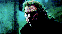  hp meme: ten scenes [3/10] » Lord Voldemort had risen again 