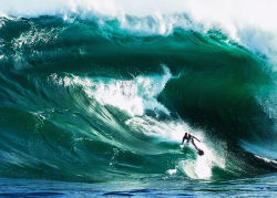 highenoughtoseethesea:  How heavy can you handle? This is Tasmania’s favorite mutant, Shipstern Bluff.  It breaks on practically dry reef, the water is notoriously sharky, and mind the ledge.  Tasmanian devil