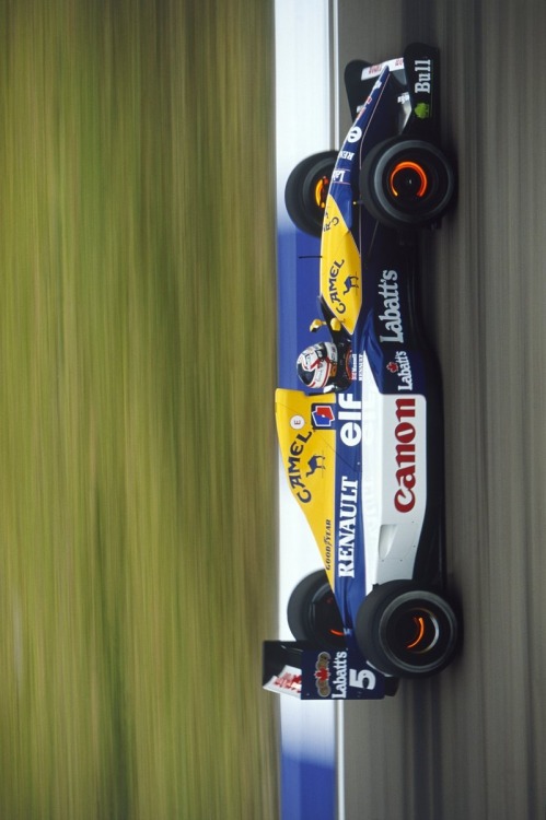 Lion Nigel Mansell