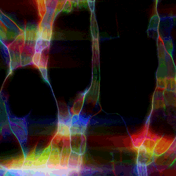 Protobacillus: Color K - Vj Loops Pack  