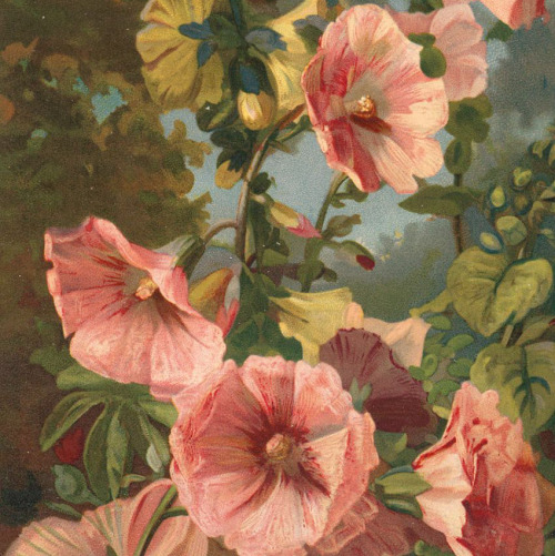 florealegiardini:Hollyhocks (detail), Julia McEntee Dillon (American, 1834-1918)