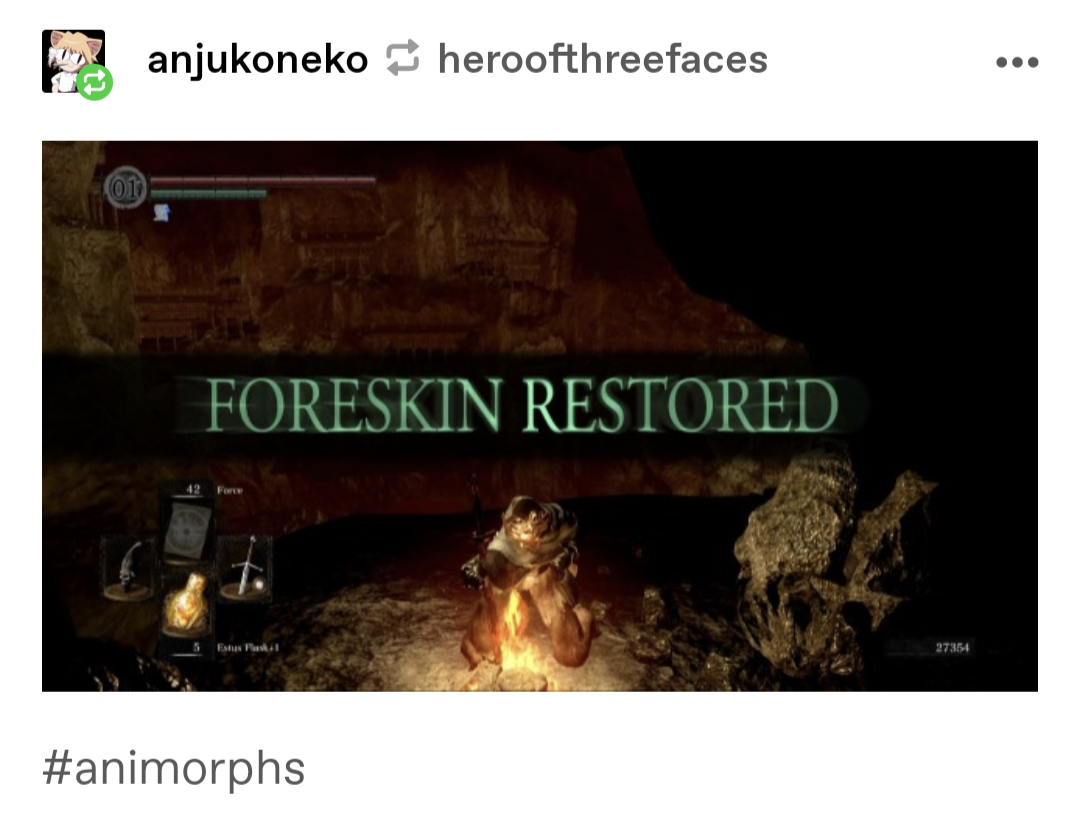 foreskin restored 
