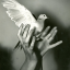 bupropionangel