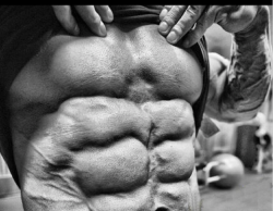 habitofvictory:  Shredded abdominals.  