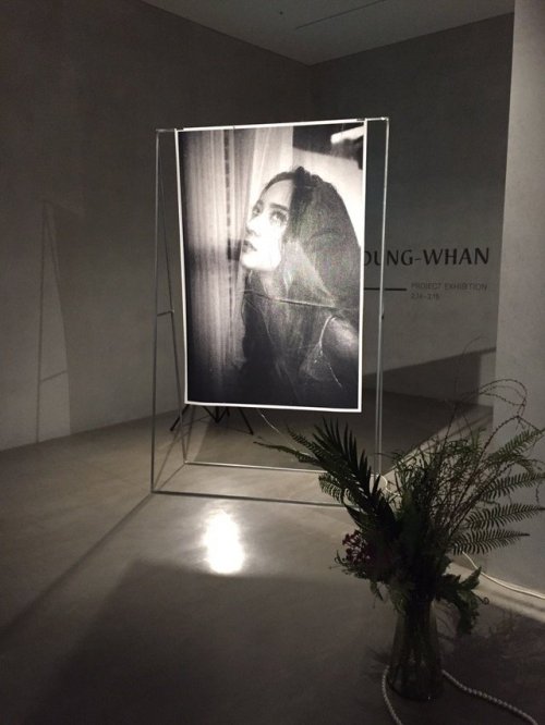 krystal:“I DON’T WANT TO LOVE YOU” Exhibition