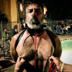 mr-s-leather: Cigar service boy in wrist to shoulder harness by pool at #smokeout  (at Las Vegas, Nevada)