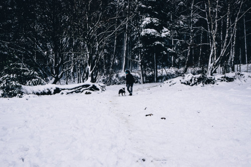 Winter Wonderland - Wesertalsperre Eupen - Part I. You can find part II here. By Thorsten Nunnemann.