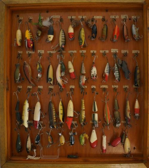 herefishyfishy