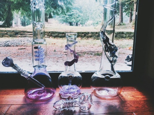 chubbybluntz:  chubbybluntz:  did some cleaning today ☺️  rip to all but one of these babes lmao