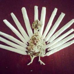 ddryeyes:  rickymartinofficial:  thankful 4 20  happy danksgiving