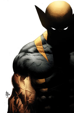 extraordinarycomics:  Wolverine by Mike Deodato Jr.