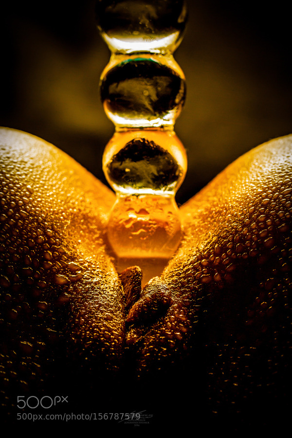 violetlahaie:  «Zepter in Gold» by FotoDesignJohannesSteimer. Found in: http://ift.tt/1Y5R2zT
