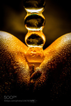 violetlahaie:  «Zepter in Gold» by FotoDesignJohannesSteimer. Found in: http://ift.tt/1Y5R2zT 
