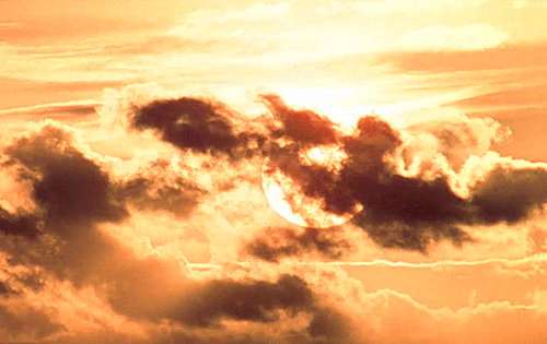 shinigabi-tan:♦ Horror Films Watched in October of 2020 (8/?) ♦It’s much too dangerous to jump throu shinigabi-tan:♦ Horror Films Watched in October of 2020 (8/?) ♦It’s much too dangerous to jump throu