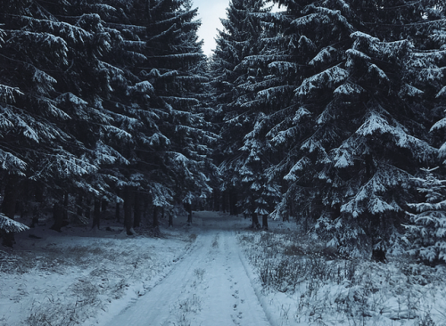 A winter walk in Sudety Mountains, Poland