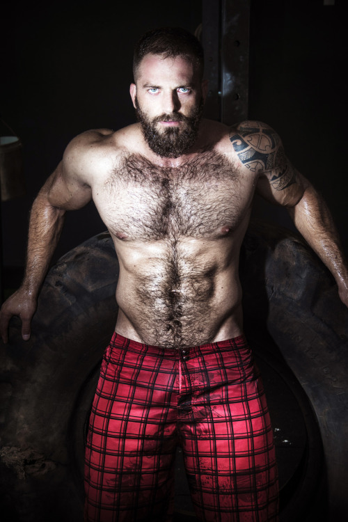 myfavoritemusclemen:  http://myfavoritemusclemen.tumblr.com/archive 