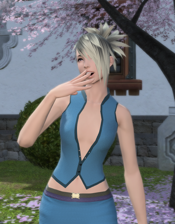 Ffxiv Mods