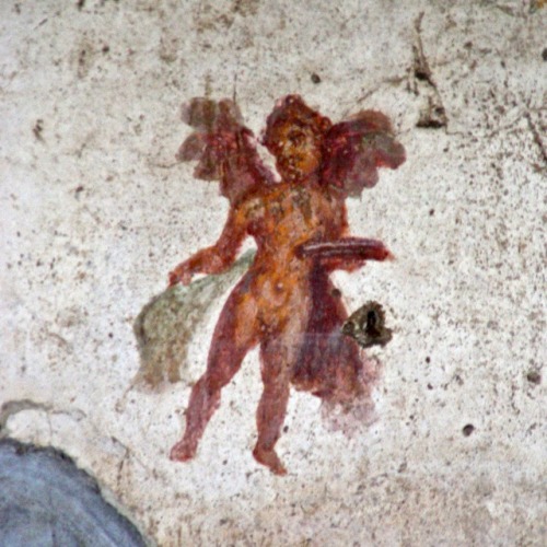 Angelo? Pittura murale, Pompei, Campania, (Angelus? Pictura murum, Pompeiano, Campania, MMIX), 2009.
