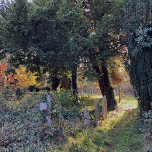 aconissa: Holywell Cemetery, Oxford, UK (November 2020)