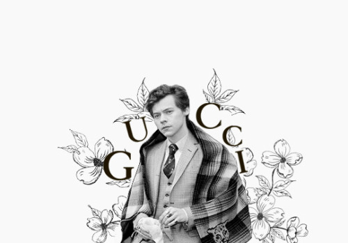 Harry Styles // Gucci Autumn/Winter Campaign. x x