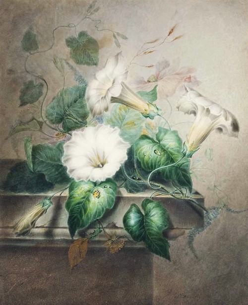 oldpaintings:Still life with Convolvulus and a ladybird by James Holland (English, 1800–1870)