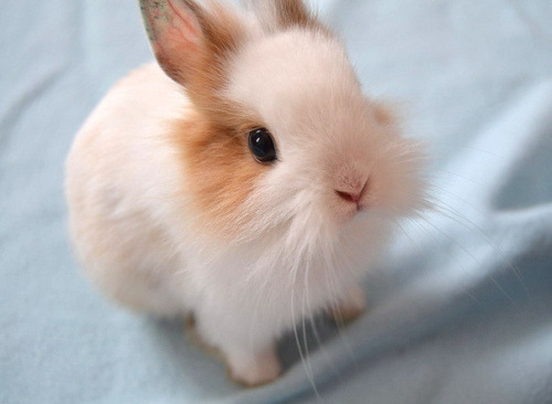therhythmofmyfootsteps:  <3