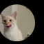 frankcoislebon