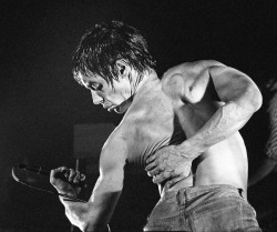 soundsof71:Iggy Pop, Manchester 1977, by Howard Barlow