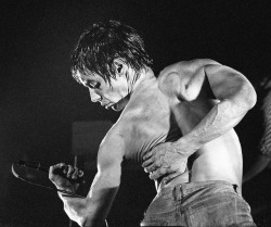 soundsof71: Iggy Pop, Manchester 1977, by