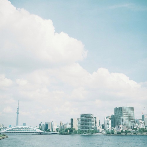 noriyukui:  毎朝、毎朝、見てきたけど やっと好きになってきたかな この風景。