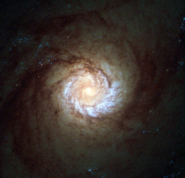 galaxiesoftheuniverse:   Messier 61  Messier 61 or NGC 4303, is a type of galaxy