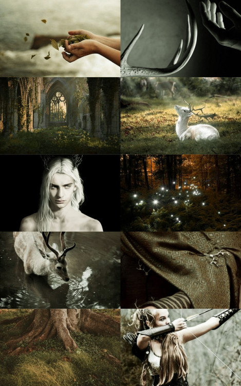 guardofcitadel: THE LORD OF THE RINGS: Elves aesthetic (x)