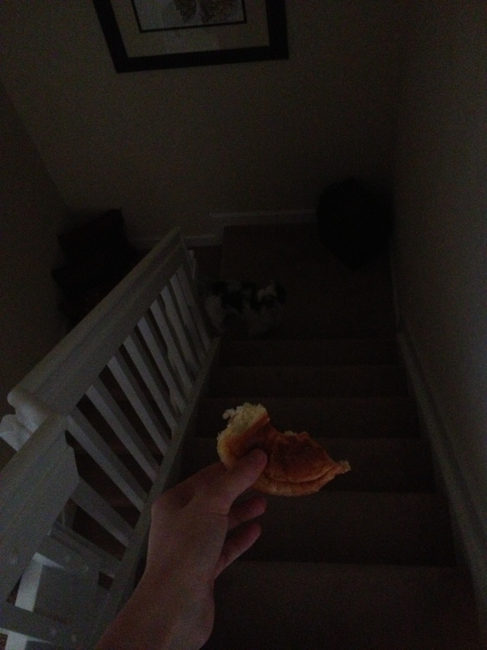 aunteeblazer:  april fools u get nothing  