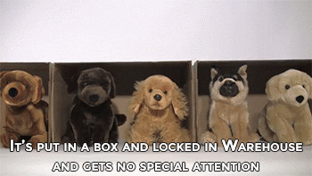 kaisertheshepherd:  feliscanis:  sizvideos:  Video  and even the ones that don’t
