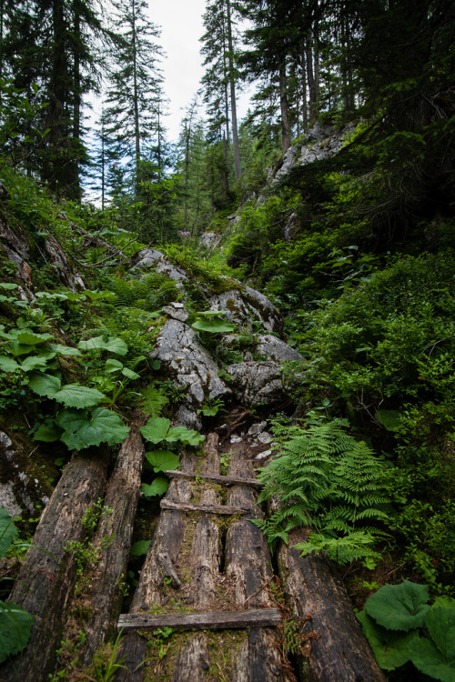 ominousraincloud:Notgasse | By Tim