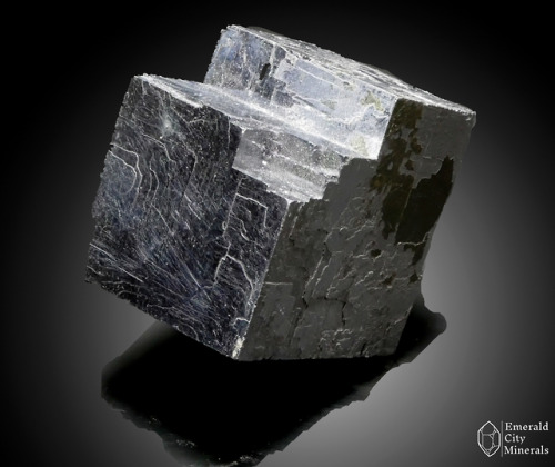 emeraldcityminerals:Cube of shiny gray metalic galena (PbS). From Rosh Pinah Mine, Karas Region, Nam